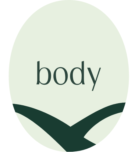 Entwicklung Body - Körper
