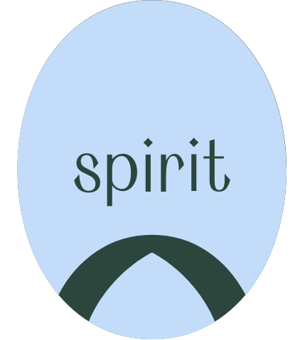 Entwicklung Geist - spirit